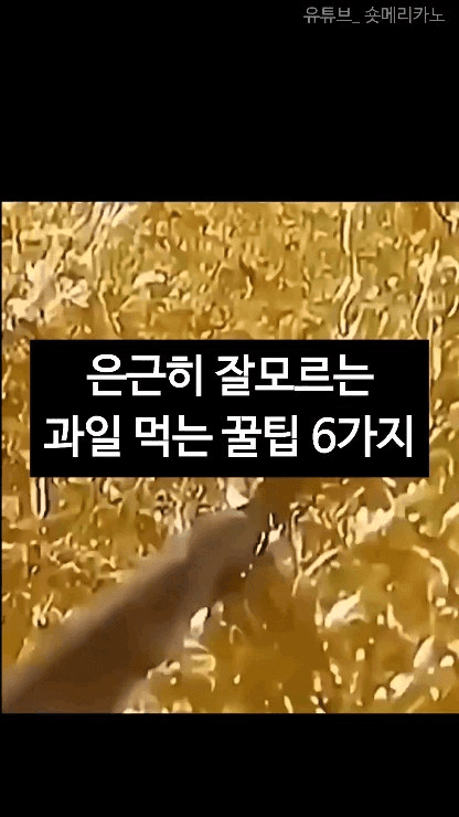 과일 쉽게 먹는 꿀팁 모음 Thumbnail