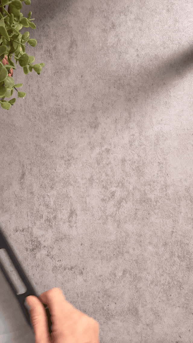 Mini Tomato Tatin Thumbnail