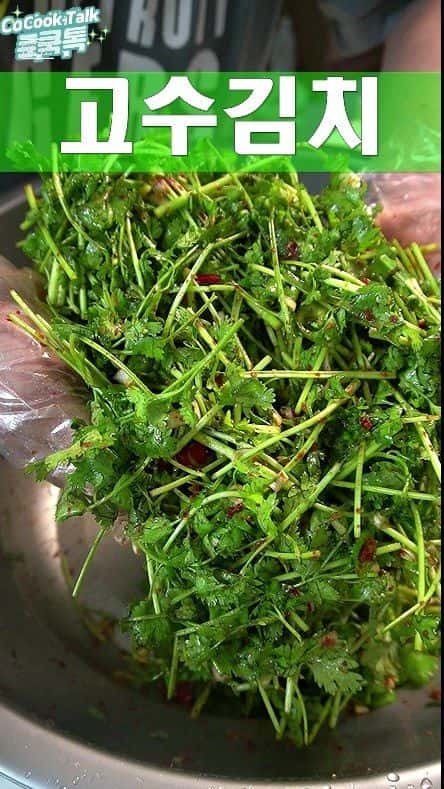 고수김치 Thumbnail