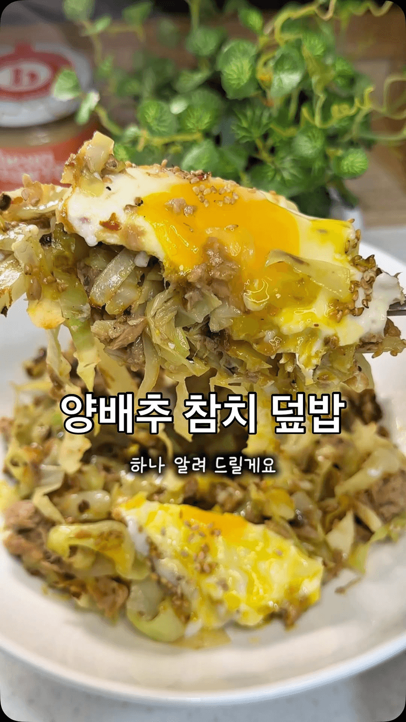 초간단 다이어트 양배추 참치 덮밥 Thumbnail