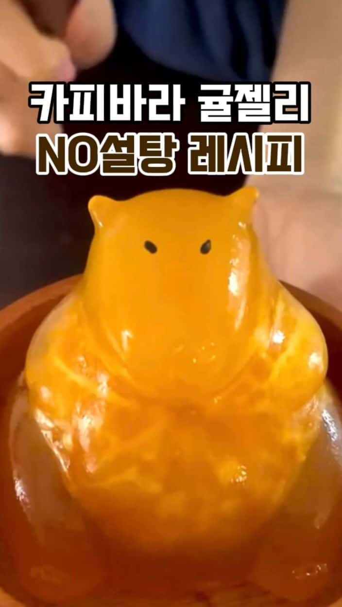 카피바라 귤젤리 Thumbnail