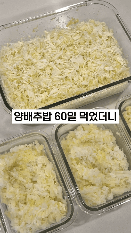 초간단 다이어트 양배추밥 Thumbnail
