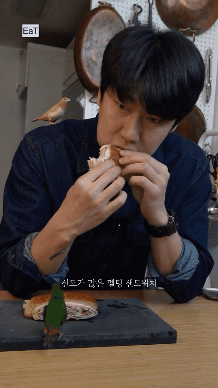 평생 써먹는 햄치즈 멜팅 샌드위치 Thumbnail