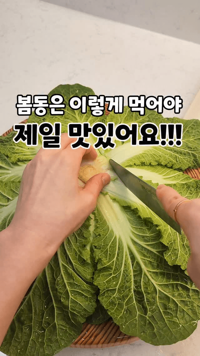 제철 봄동 겉절이 Thumbnail