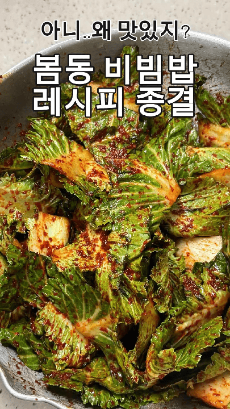 봄동 비빔밥 Thumbnail