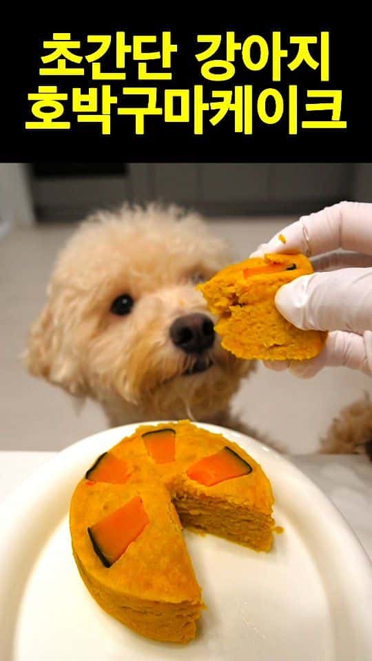 초간단 강아지 호박구마 케이크 Thumbnail