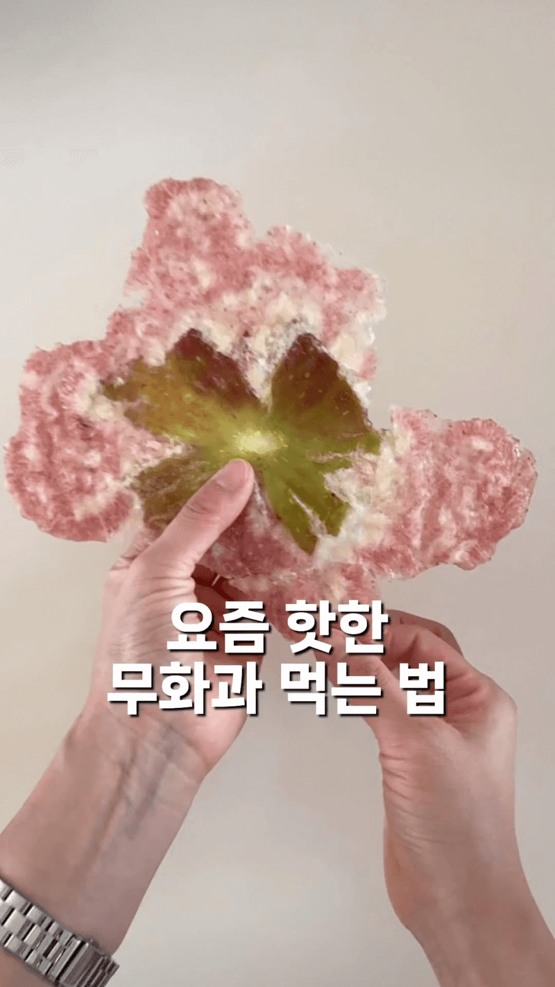 요즘 핫한 무화과 먹는 법 (무화과 바크) Thumbnail