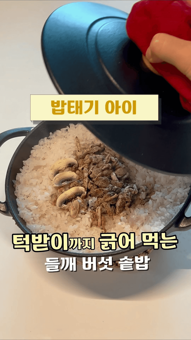 밥 안 먹는 아이도 긁어 먹게 만드는 들깨 버섯 솥밥 Thumbnail