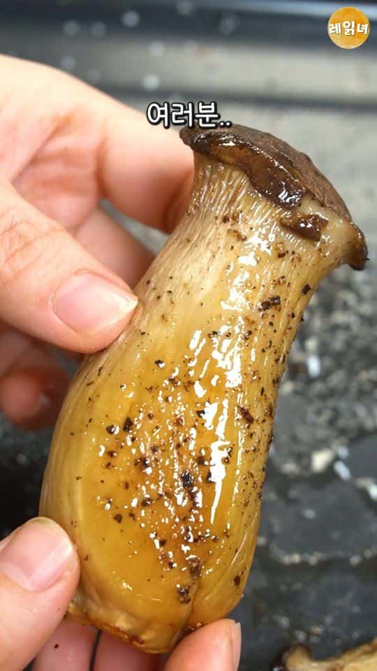 에어프라이어 통 새송이버섯 구이 Thumbnail