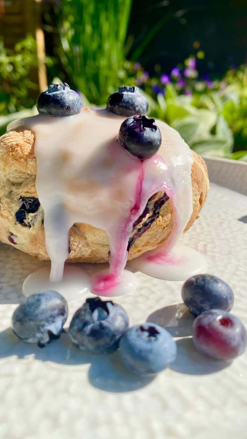 그릭 요거트 블루베리 번 Thumbnail