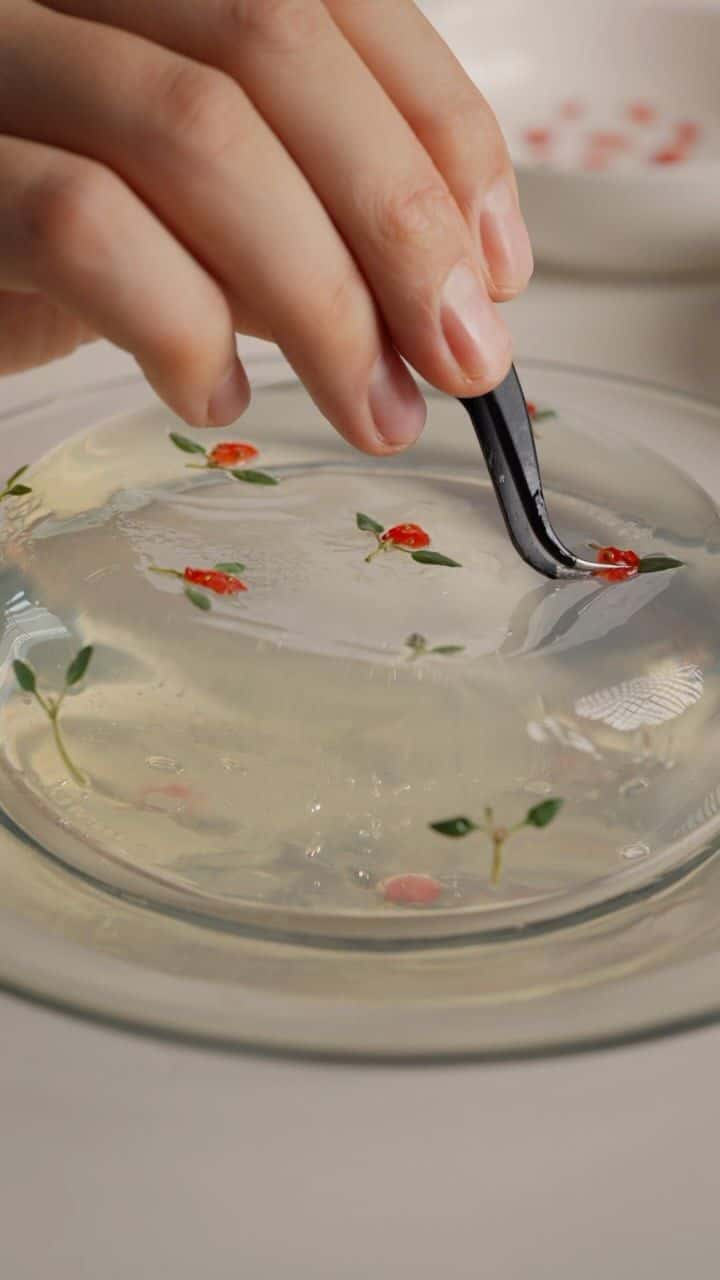 장미꽃 투명 젤리 케이크 Thumbnail