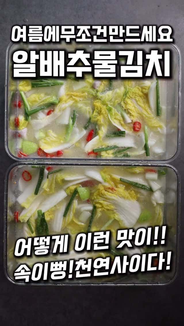 여름에 무조건 만들어야 하는 알배추 물김치 Thumbnail