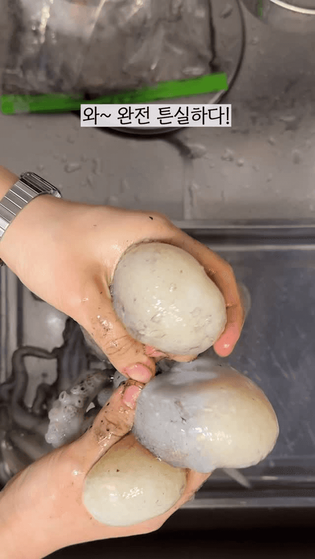 알쭈꾸미 숙회 Thumbnail