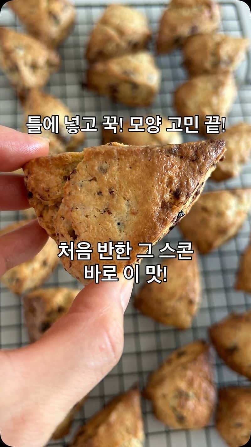 인생 크랜베리 스콘 만들기 Thumbnail