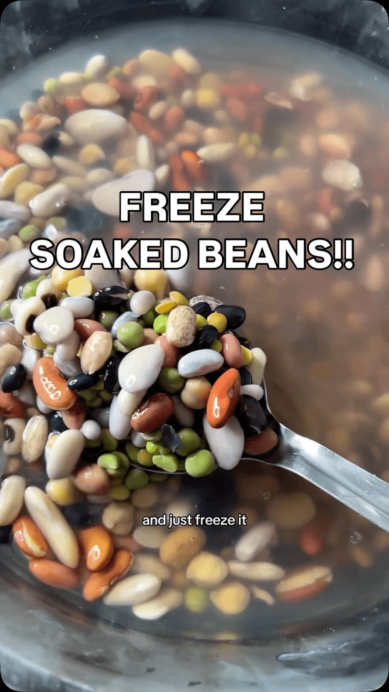 불린 콩 냉동 보관 꿀팁 Thumbnail