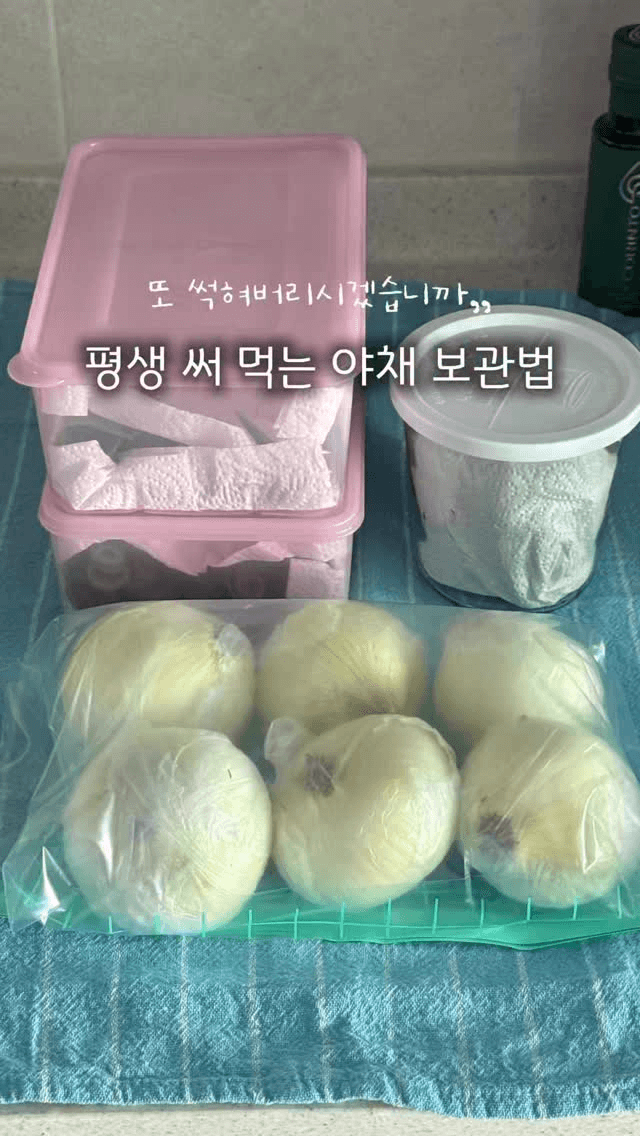 평생 써먹는 야채 보관법 (대파, 양파, 고추) Thumbnail
