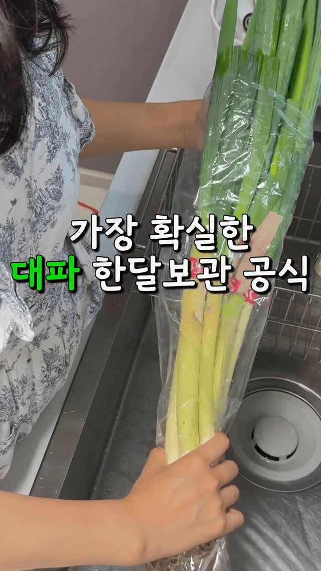 대파 한 달 싱싱하게 보관하는 법 Thumbnail