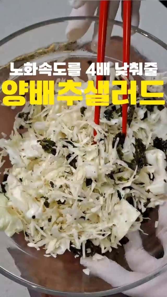 노화속도 4배 늦춰주는 양배추 샐러드 Thumbnail