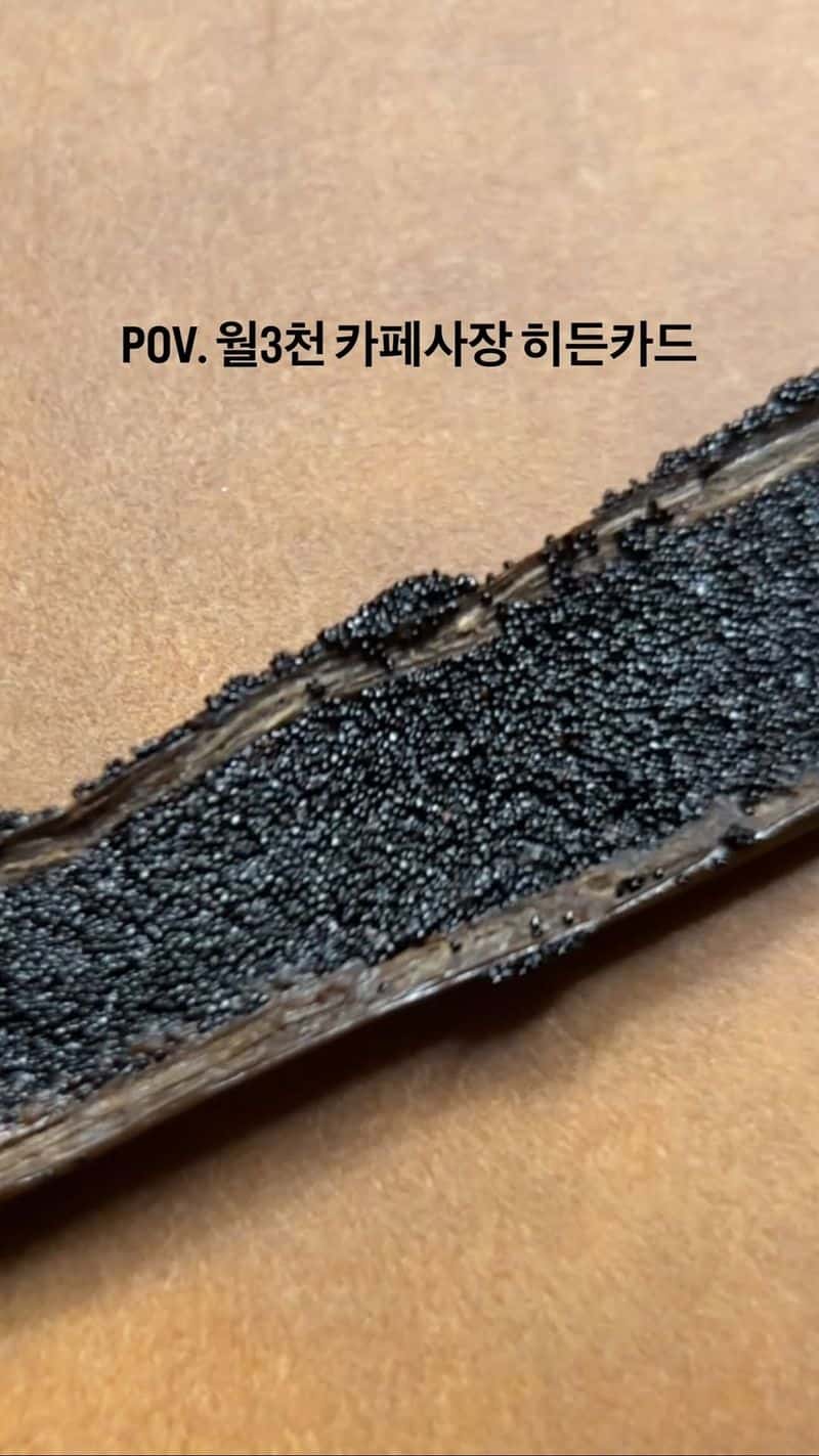 바닐라빈 마들렌 Thumbnail