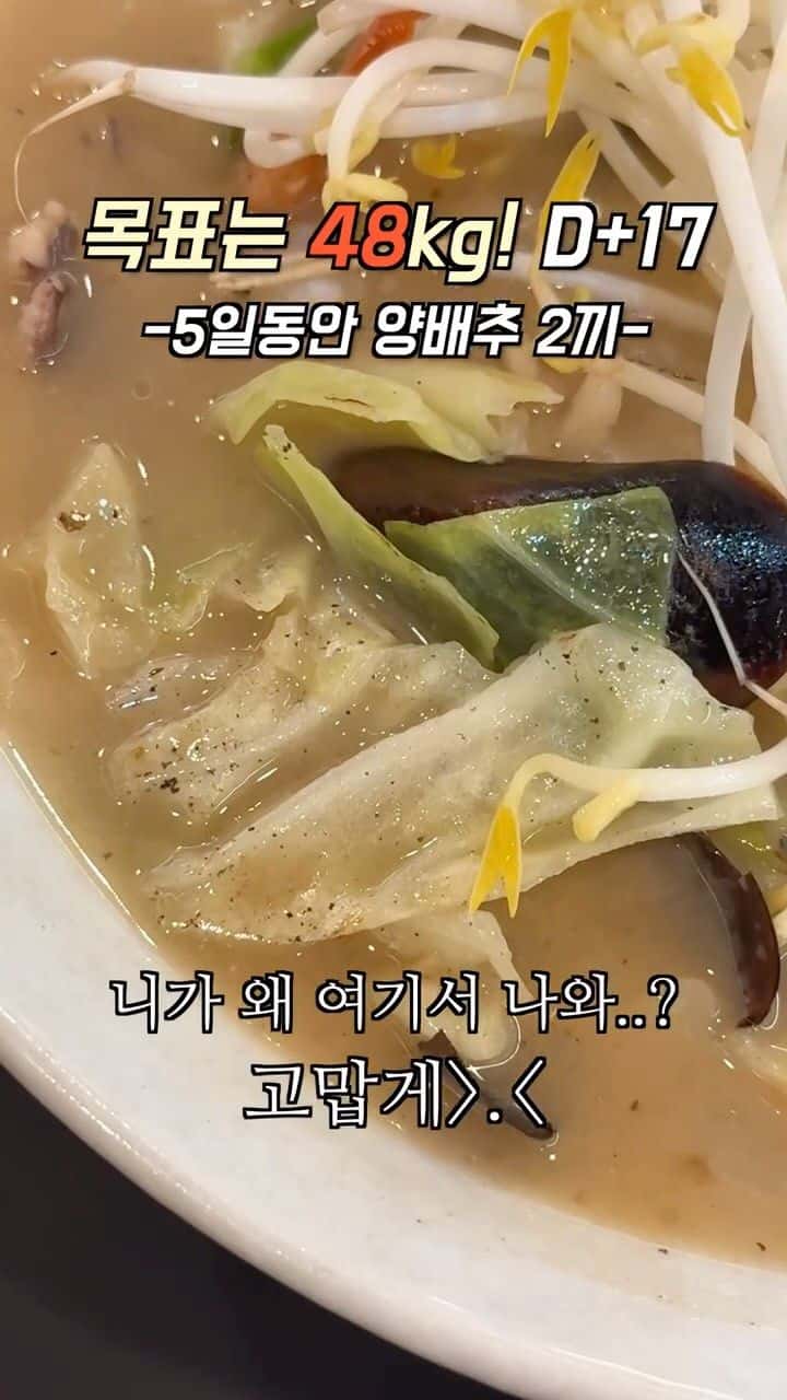 다이어트 양배추 참치전 Thumbnail