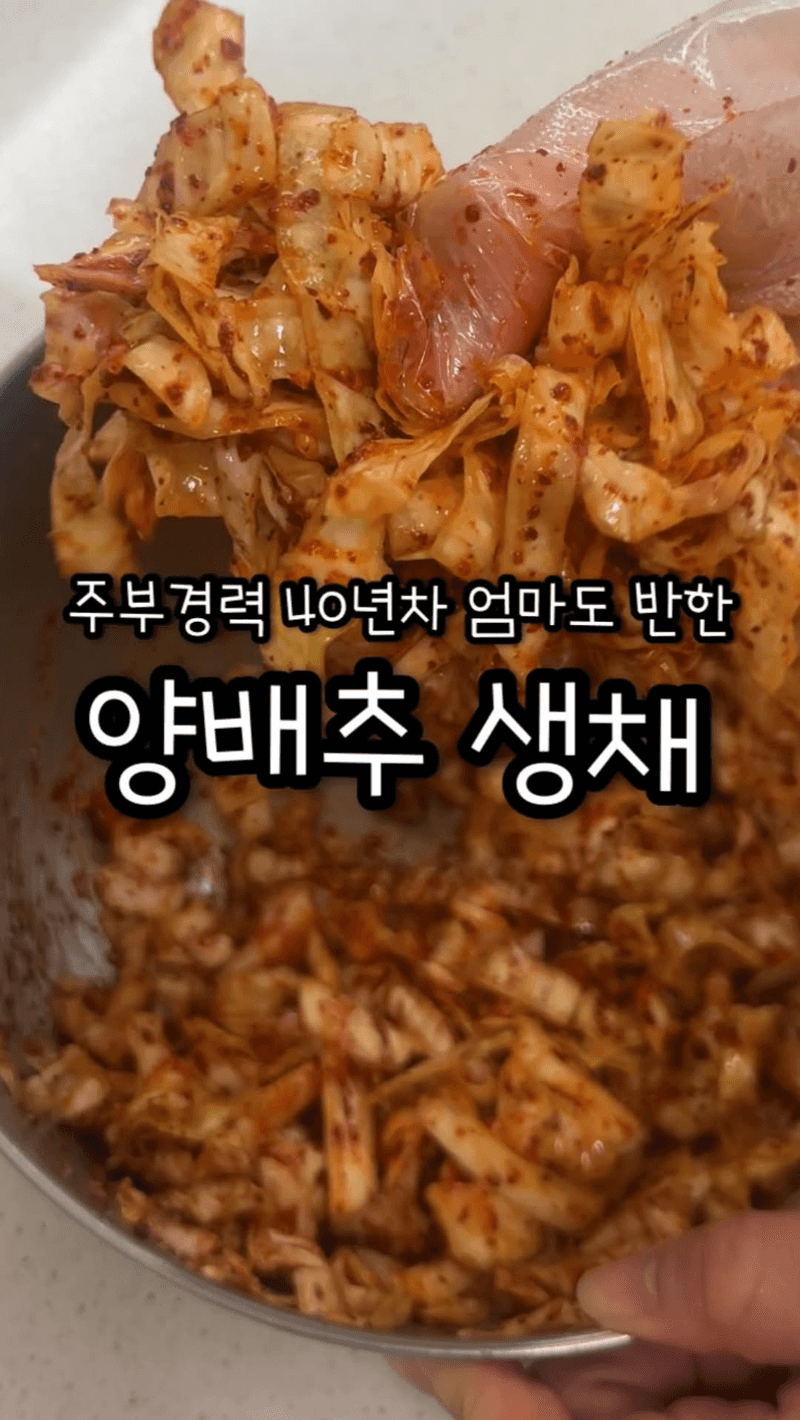 초간단 양배추 생채 Thumbnail