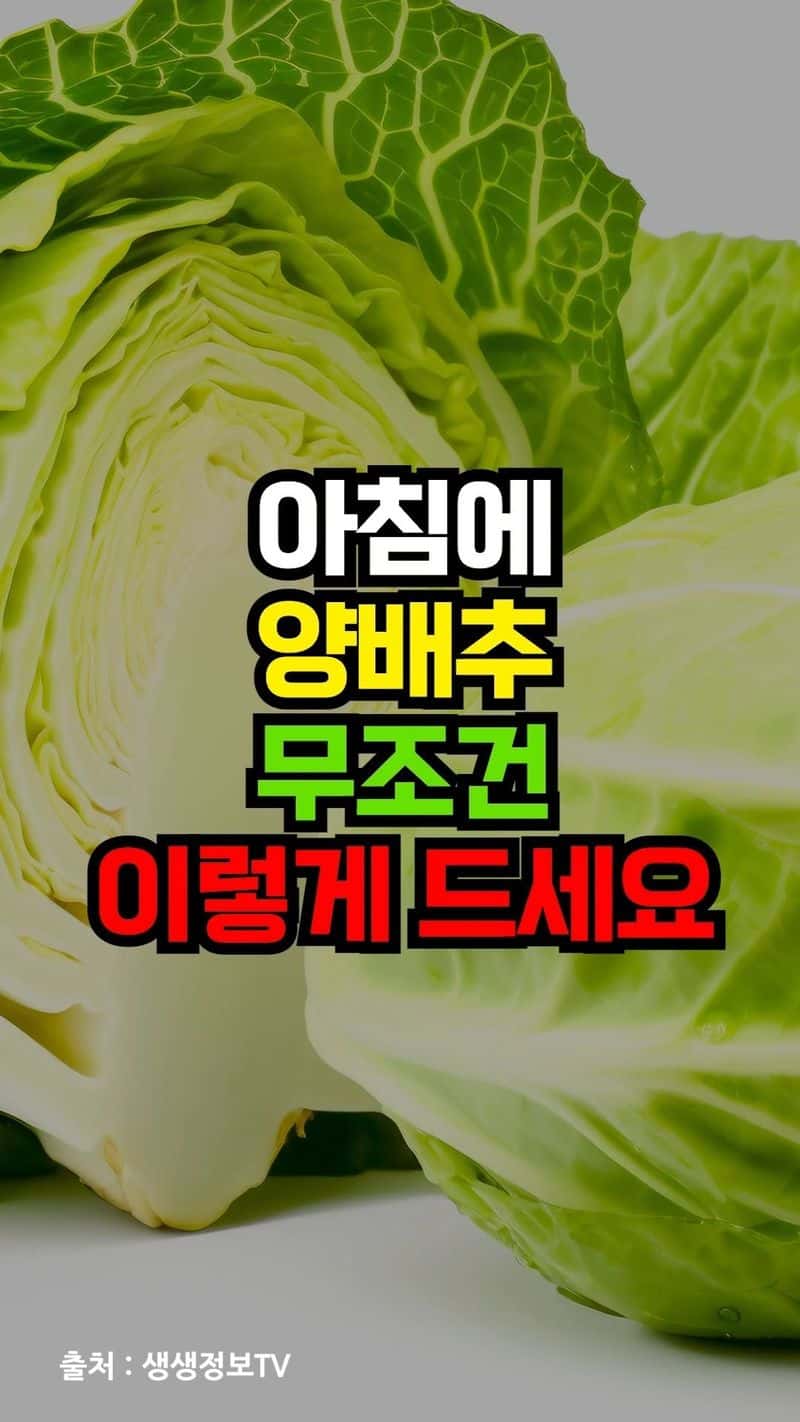 아침에 양배추 무조건 이렇게 드세요 Thumbnail