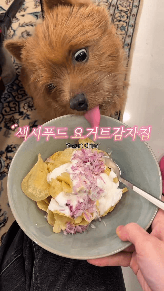 레전드 와인 안주, 요거트 감자칩 Thumbnail