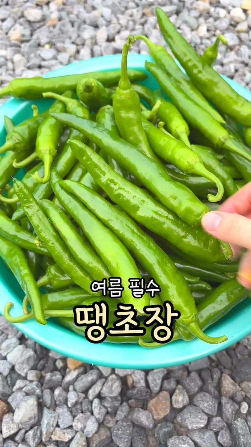 입맛 살리는 땡초장 Thumbnail