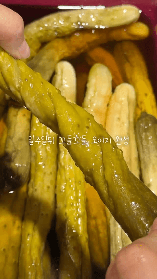 누구나 성공하는 초간편 오이지 만들기 Thumbnail