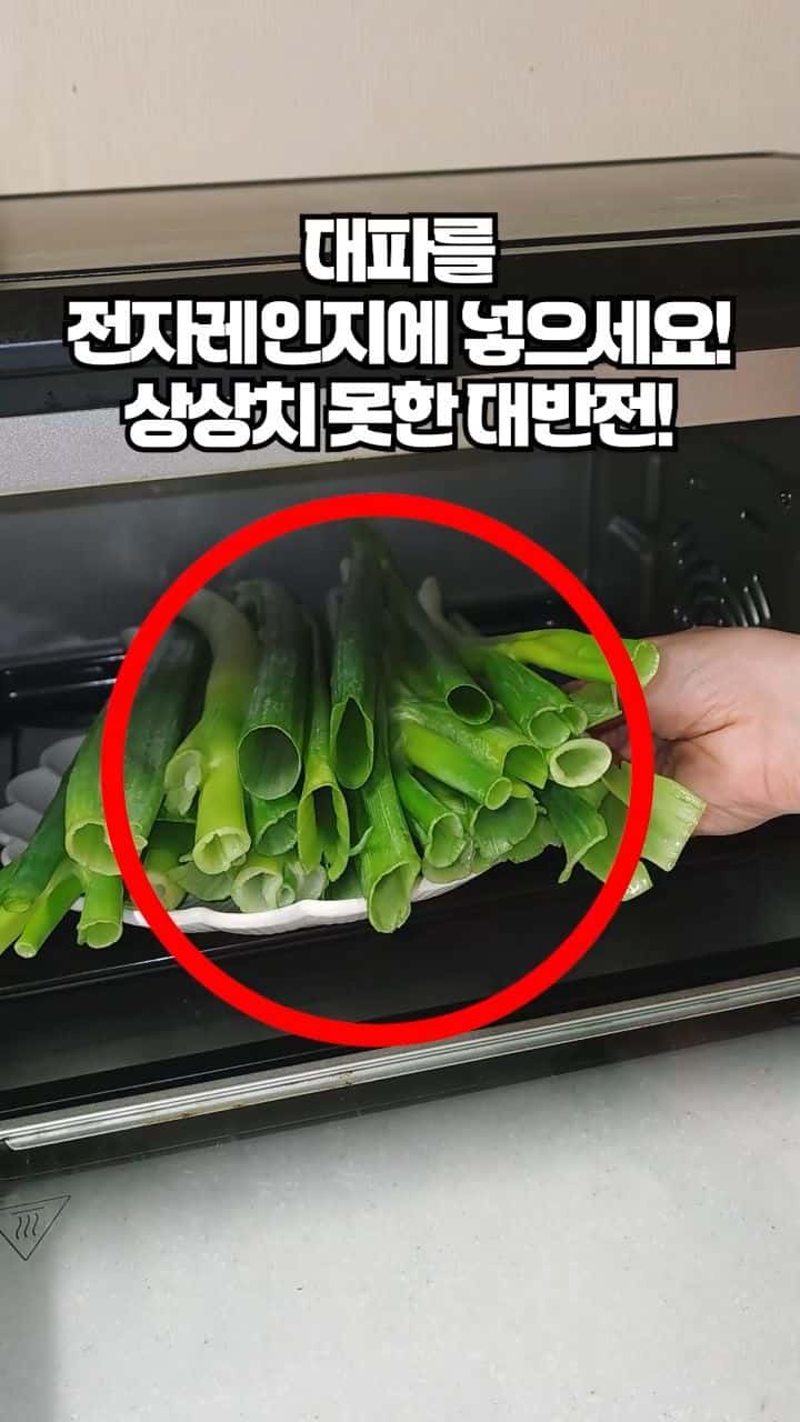 전자레인지로 만드는 초간단 대파요리 2가지 Thumbnail