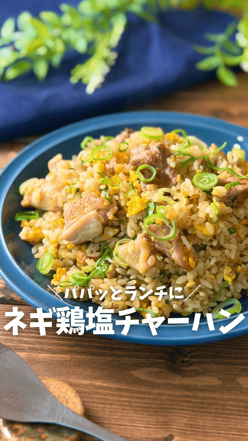 파 닭고기 소금 볶음밥 Thumbnail