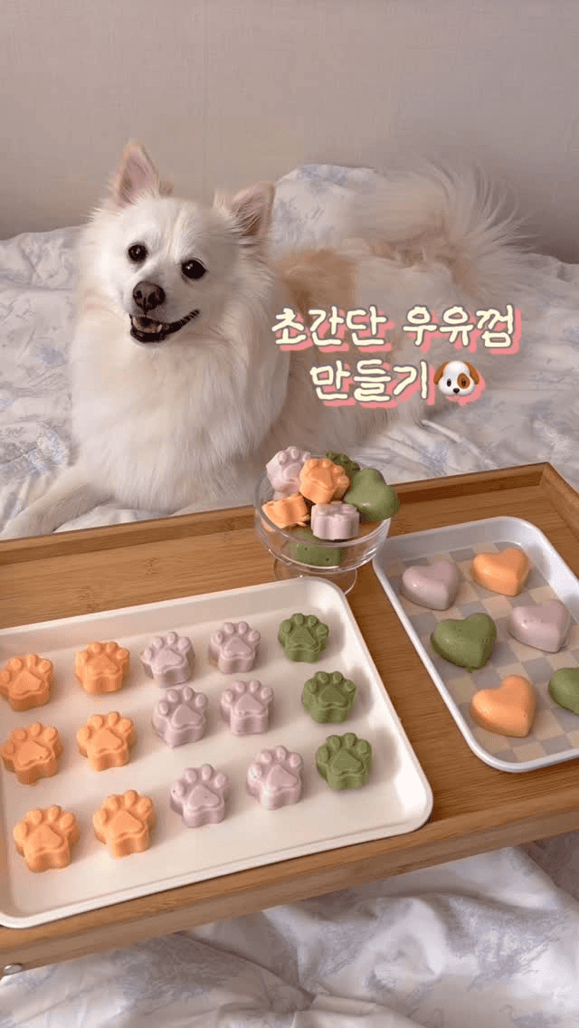 초간단 강아지 우유껌 만들기 Thumbnail