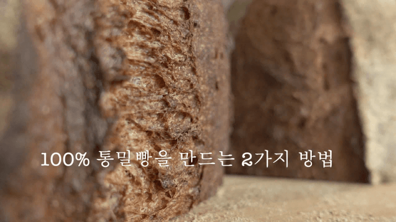 0.85g만의 이스트로 만드는 100% 통밀빵 2가지/스트레이트 반죽/ 폴리쉬 반죽/100% whole wheat bread Thumbnail