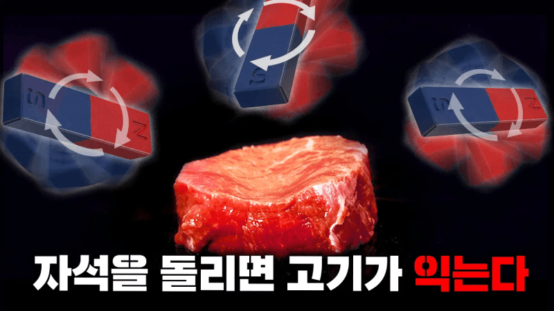 자석을 20000번 회전시키면 고기가 익는다는데...(진짜 가능한 걸까?) Thumbnail