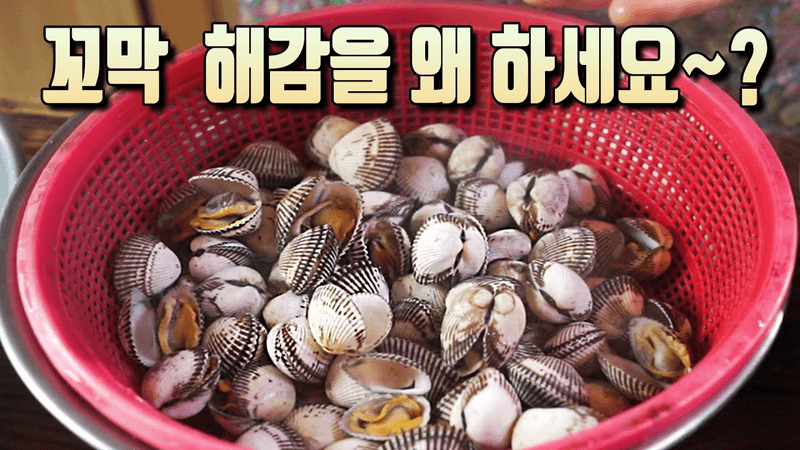 꼬막 요리 2가지 Thumbnail