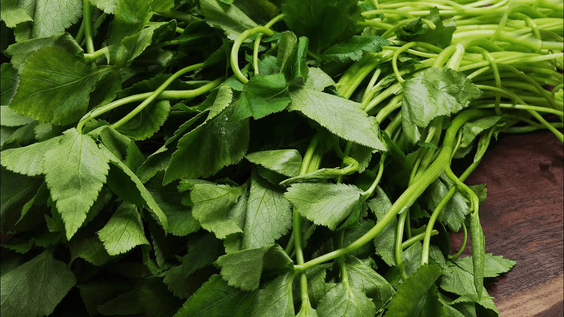 참나물김무침 Thumbnail