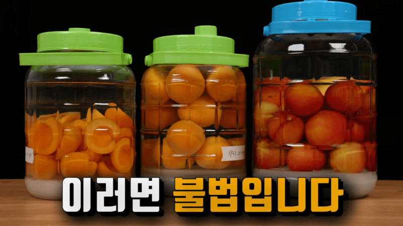 식당에 자주 보이지만 의외로 불법인 술 Thumbnail