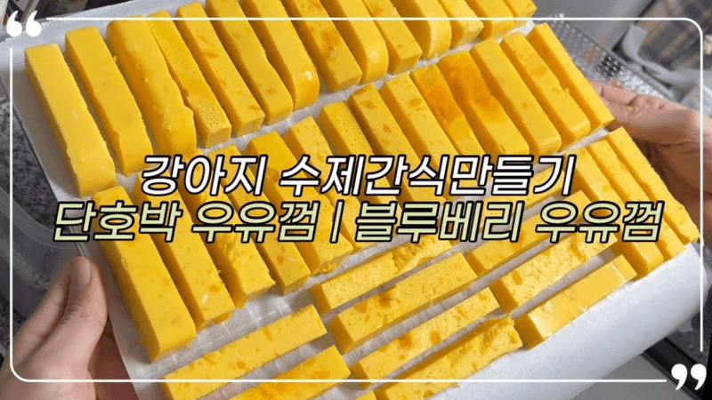 요리 Vlog * 강아지 수제간식 만들기 | 단호박 우유껌 | 블루베리 우유껌 Thumbnail