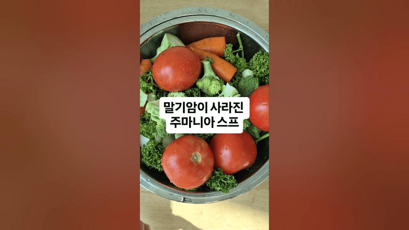 말기암이 사라진 주마니아님의 항암스프 Thumbnail