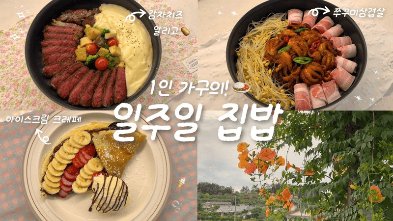 더위야 가라🌊✨ 1인 가구의 한그릇 집밥 브이로그🍙🏠ㅣ알리고 스테이크🥩ㅣ쭈꾸미 삼겹살🐙ㅣ아이스크림 크레페🍦ㅣ신진도 오징어 사기..!🦑 Thumbnail