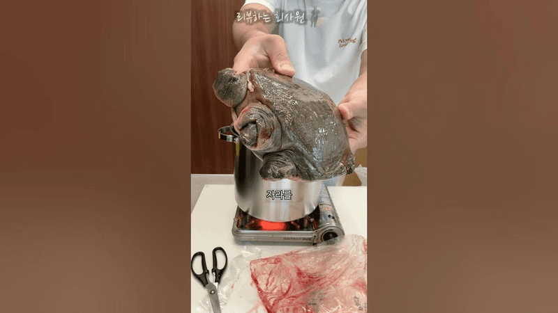 간편 자라탕(용봉탕) 만들기 Thumbnail