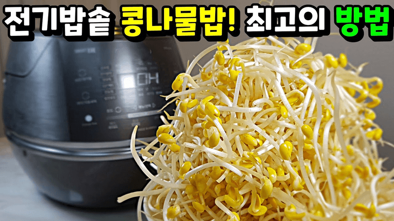 3일째 먹고 있는데도 질리지가 않아요! 가장 확실한 방법👍콩나물은 아삭아삭! 밥은 고슬고슬! Thumbnail