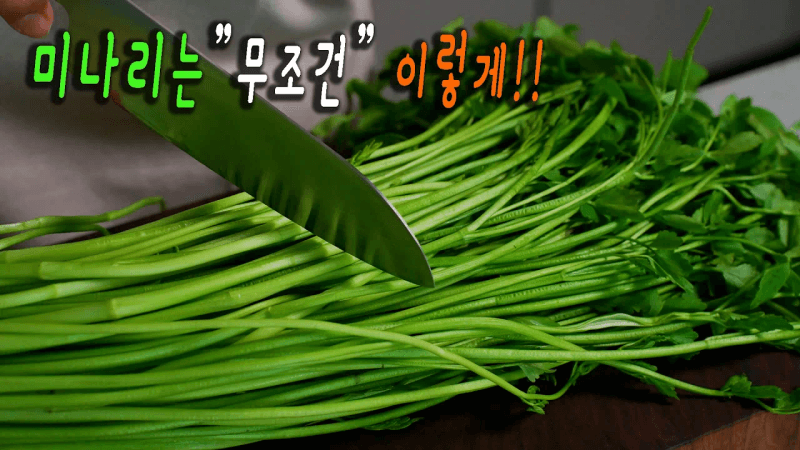 미나리는 이 방법이 최고입니다. 👍 먹어본 사람들은 누구나 인정하는 미나리 요리 3가지 Thumbnail
