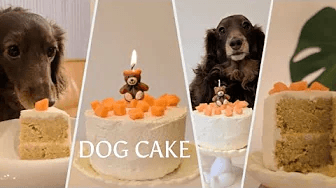 강아지 생일 케이크 Thumbnail