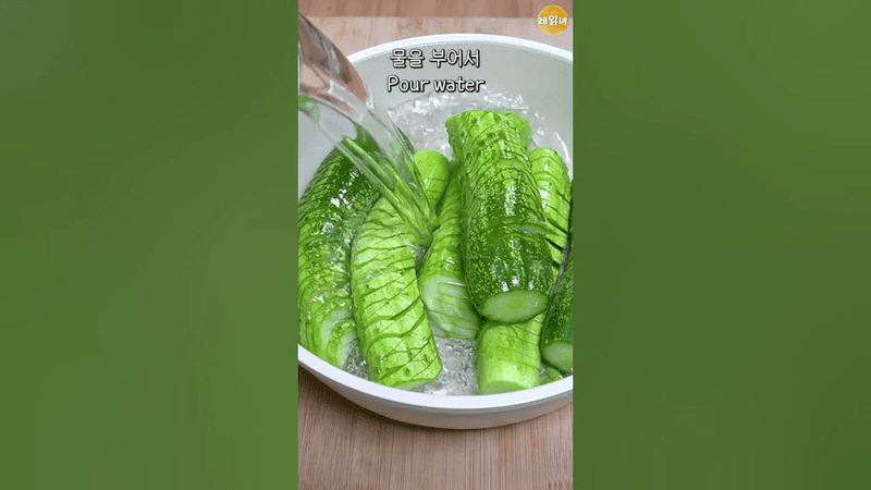 오이 아코디언 Thumbnail