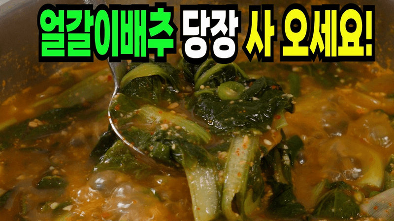 배추국 힘들게 끓이지마세요✔️ 이 방법은 요즘 인기 배추된장국 레시피입니다 Thumbnail