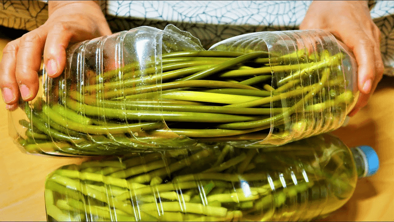 페트병에 마늘쫑을 넣었더니 1년 내내 싱싱해요!! Thumbnail