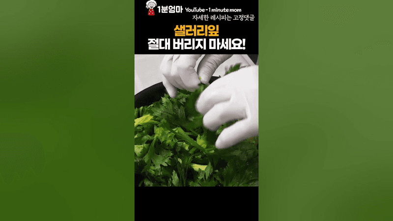 샐러리잎 겉절이 Thumbnail