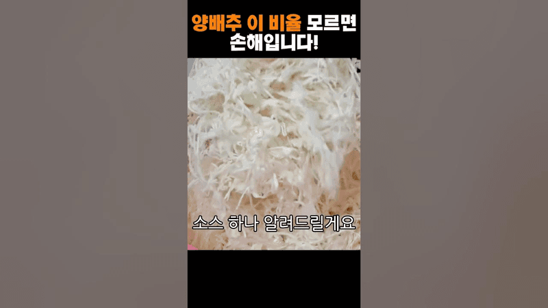 양배추 이 비율 모르면 손해입니다! Thumbnail