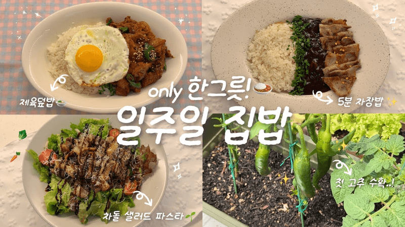잔잔한듯 시끄러운 사람의..🧞‍♂️✨한그릇 집밥 브이로그🍙🏠ㅣ차돌 샐러드 파스타🌱ㅣ제육덮밥🍛ㅣ목살 자장밥✨ㅣ첫 고추 수확ㅣ한강 Thumbnail